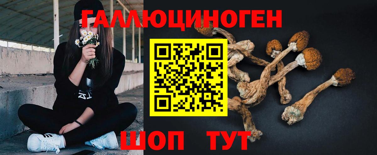 Галлюциногенные грибы мухоморы  купить закладку  Шадринск  Вход с VPN 
